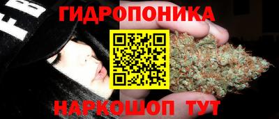 трава Татарск